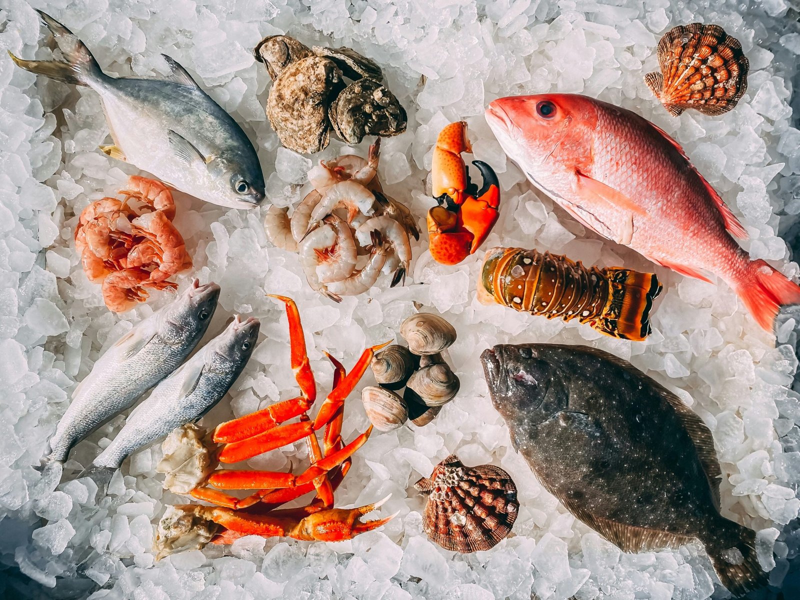 Seafood Recipes